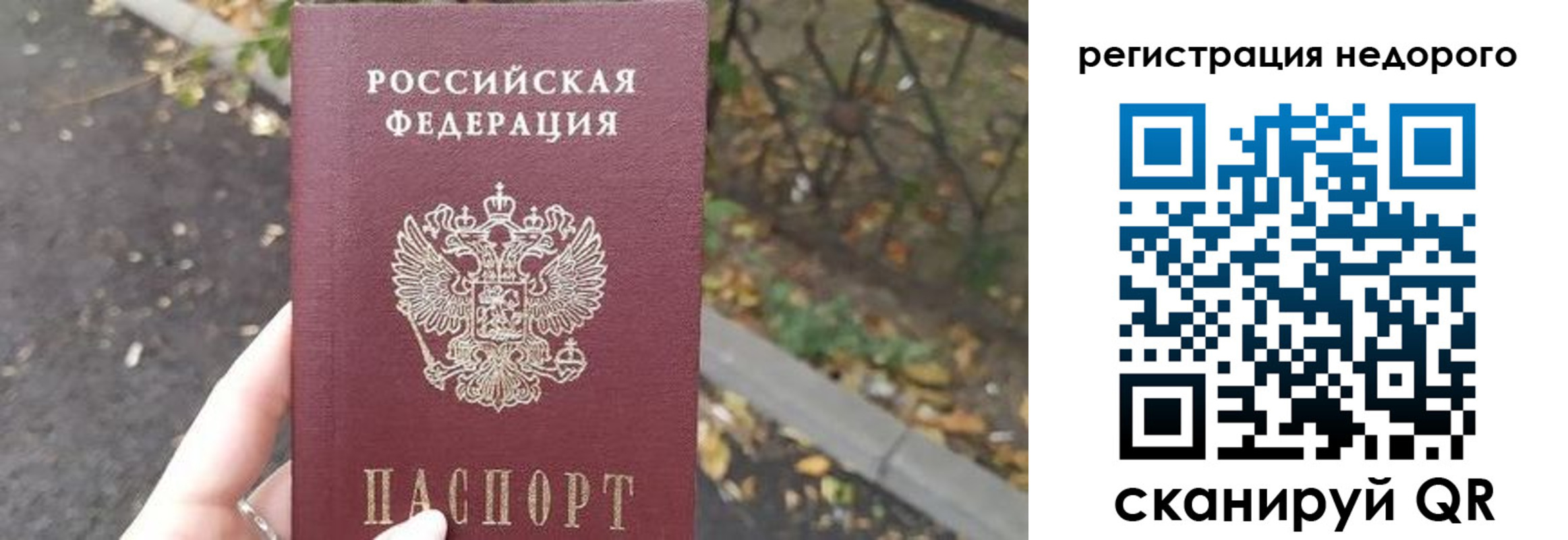 временная регистрация надежно в Мурино